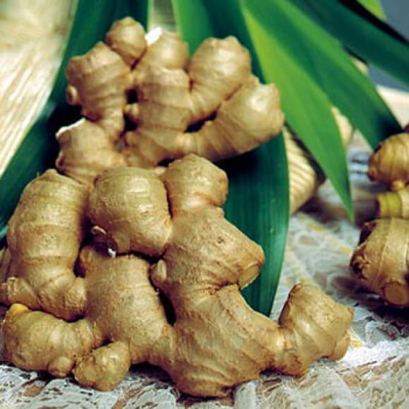 Gừng tươi chữa đau bụng kinh